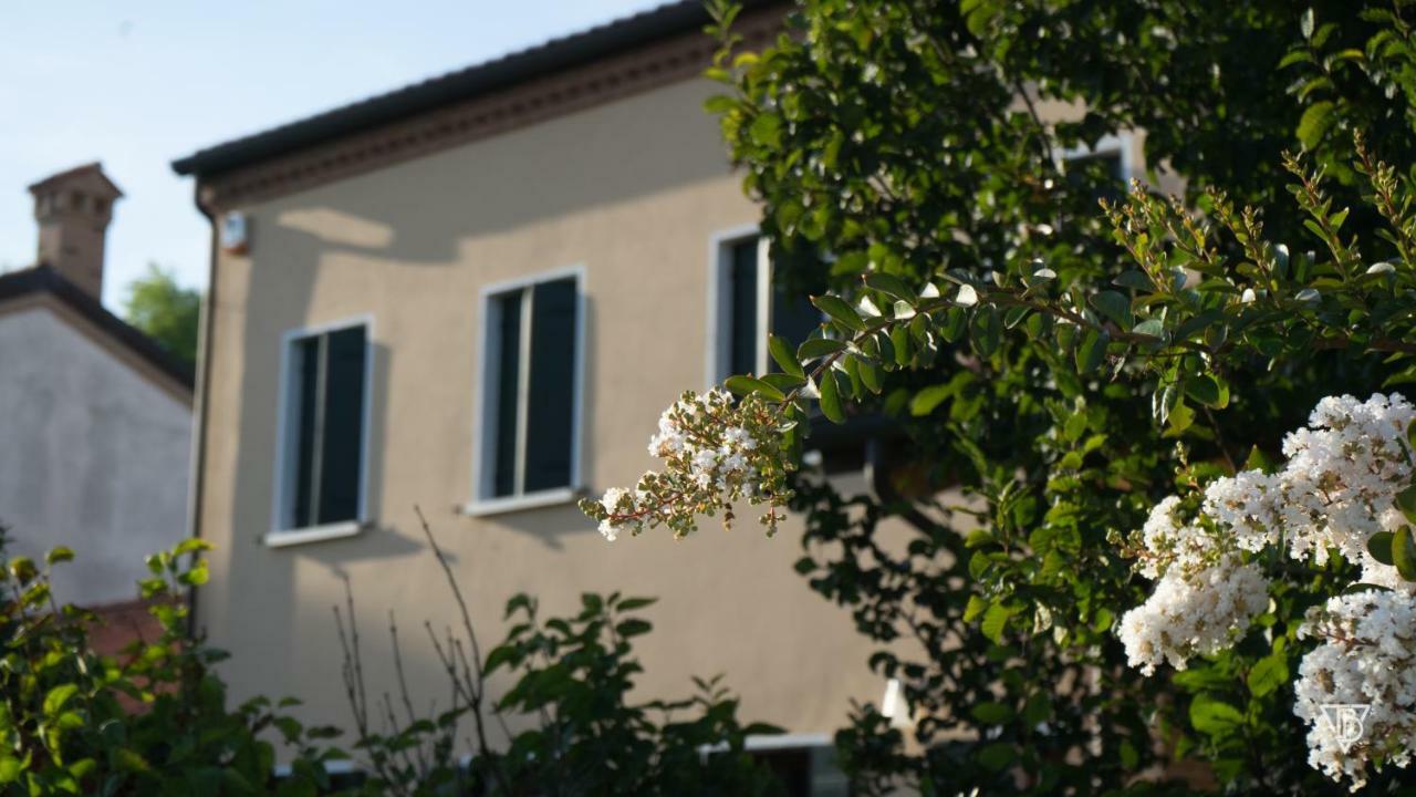 Antico Alveo Hotel Camponogara Exterior photo